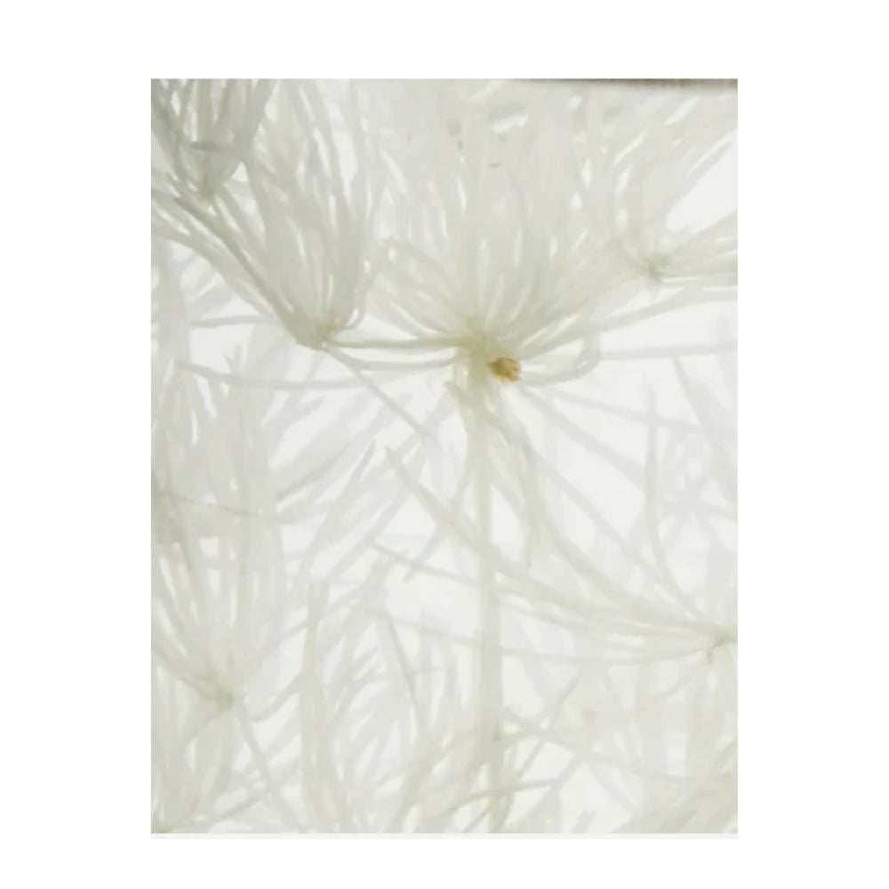 Meraki duftpinde - Diffuser, lillac muse - 900002199 