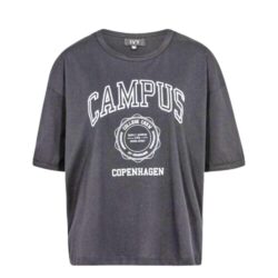 Ivy Copenhagen t-shirt IVY-Campus Glitter Tee - I235049 - Silver Grey