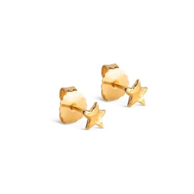 Enamel øreringe - Star Energy (Guld)