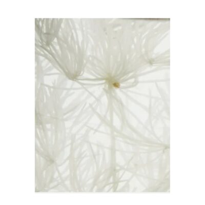 Meraki duftpinde - Diffuser, lillac muse - 900002199 