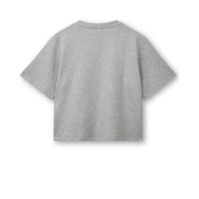 Blanche t-shirt - BL-Alona Art 1 - 27884 - 99110 LT Grey Melange