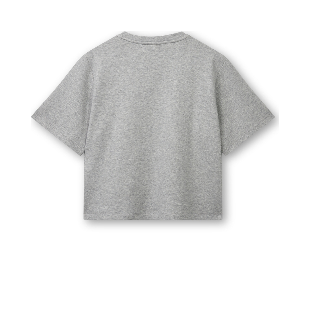 Blanche t-shirt - BL-Alona 1 (Grå) Blanche t-shirt - BL-Alona Art 1 - 27884 - 99110 LT Grey Melange